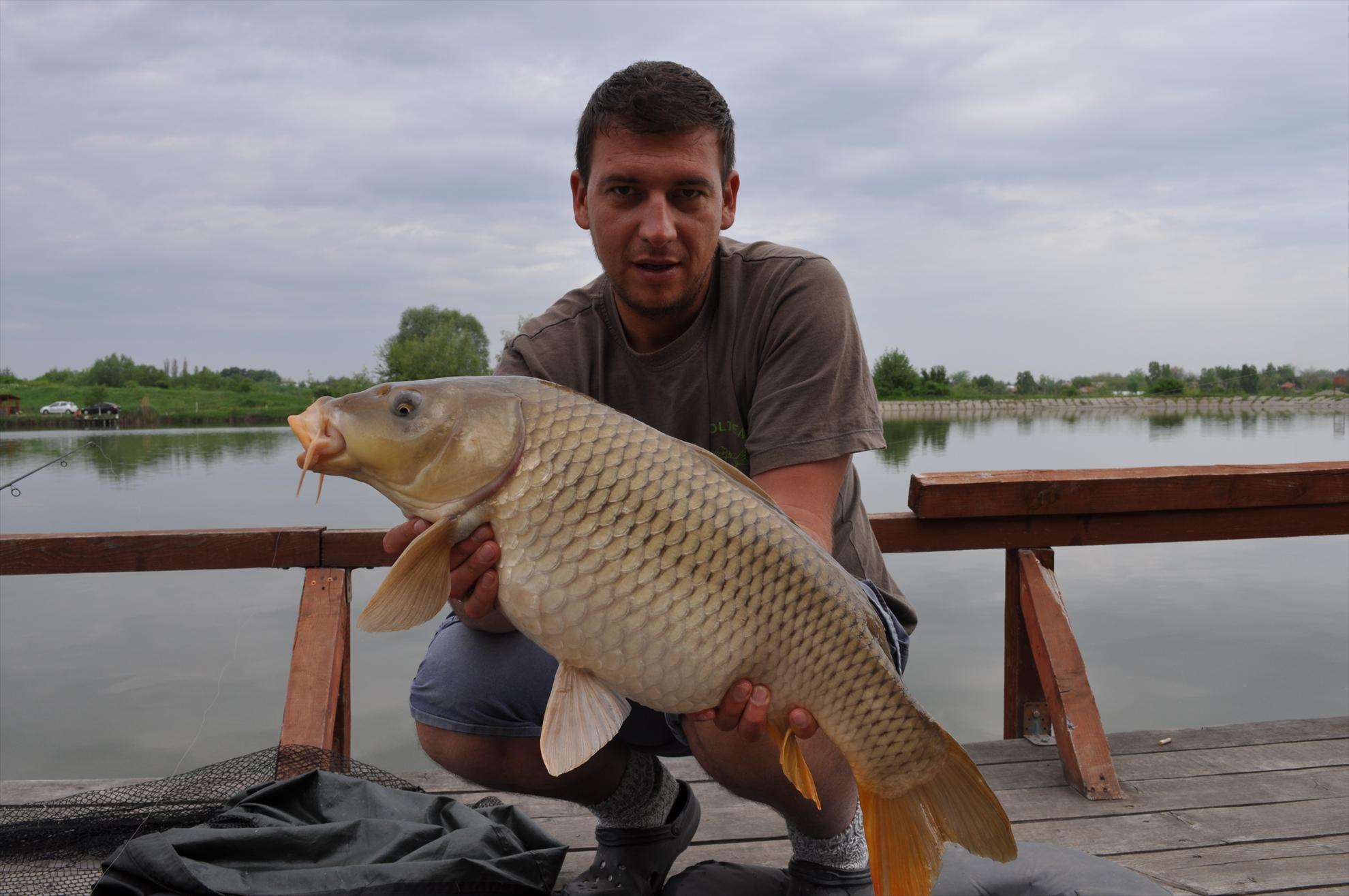 Teslui - dsc0346.JPG